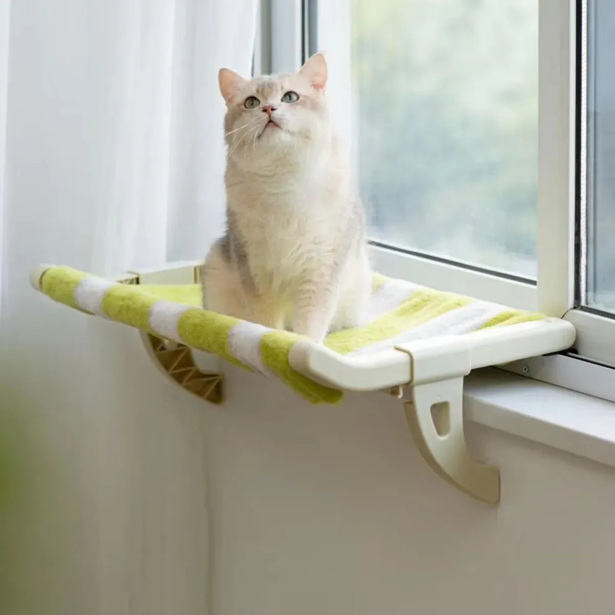 Hanging Cat Hammock Bed Durable for Window Indoor Pet Sleeping