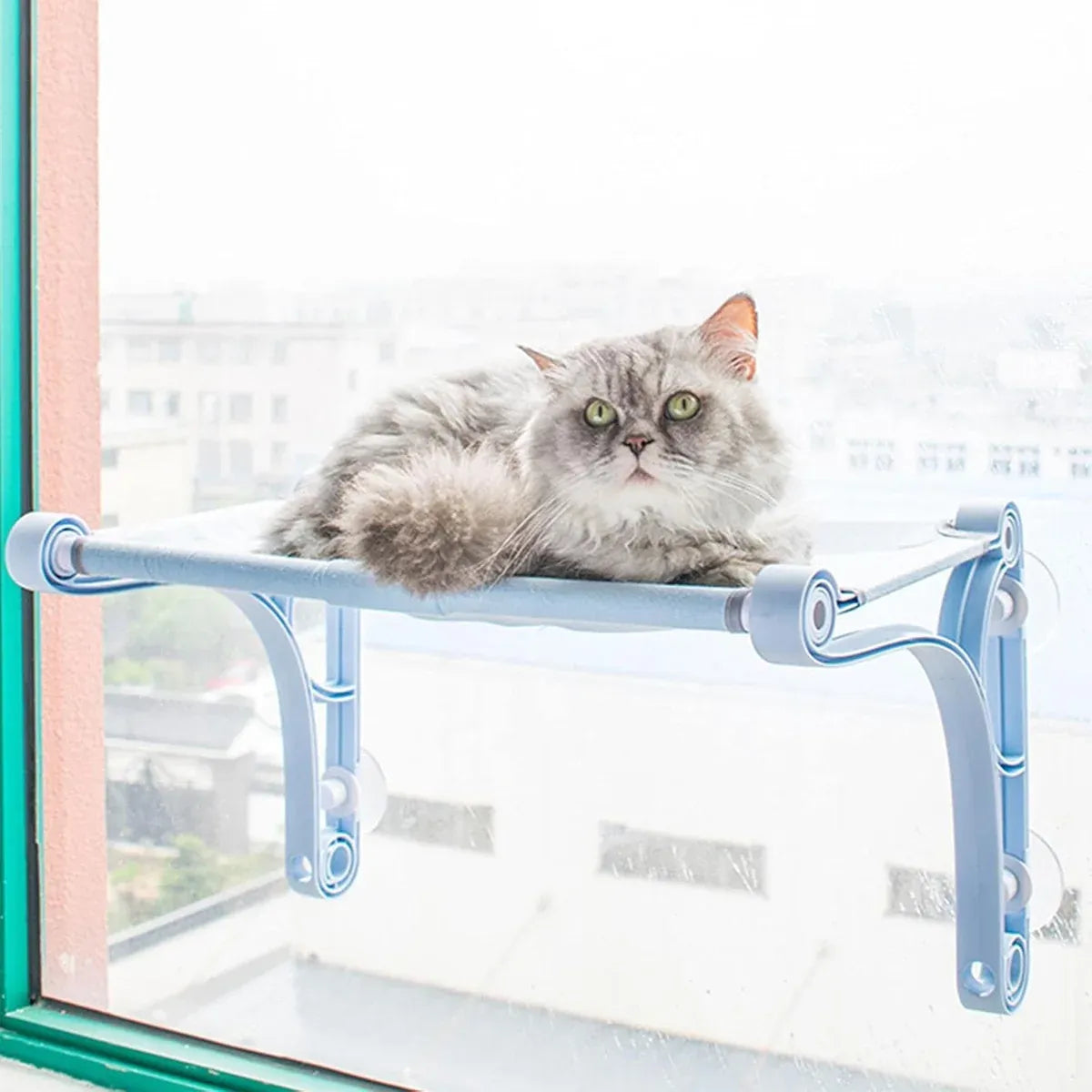 Cat Hammock for Wall Window Glass Suction Cup Style Comfortable Space Saving - Blue