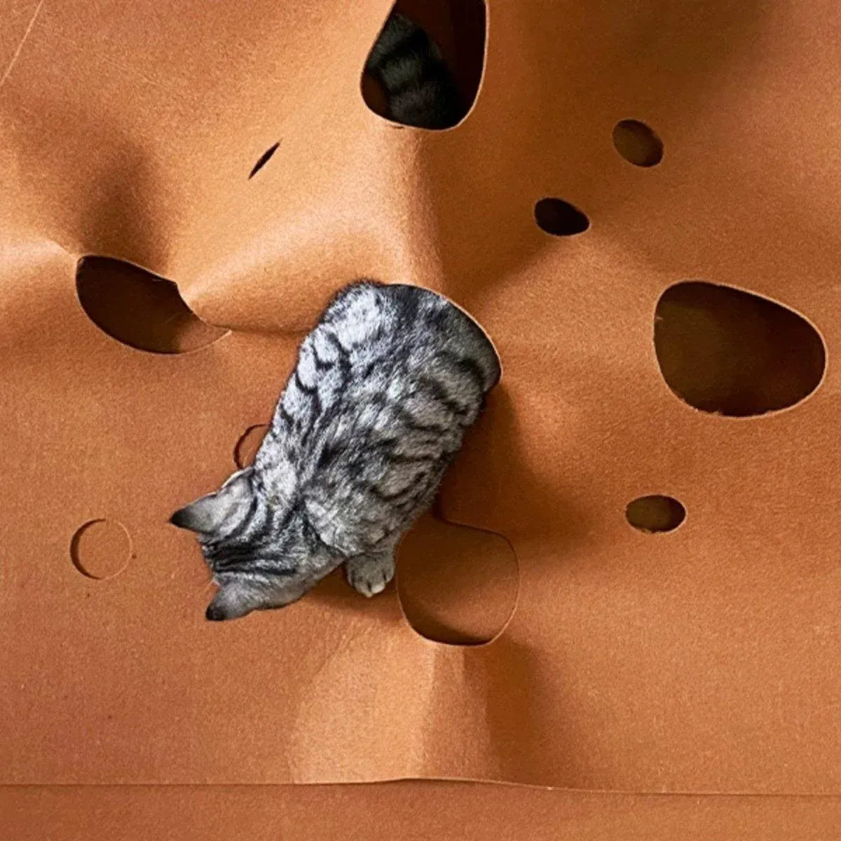 Pet Supplies Puppy Semi Enclosed Tunnel Cat Scratch Board Pad Toy Climbing Rack