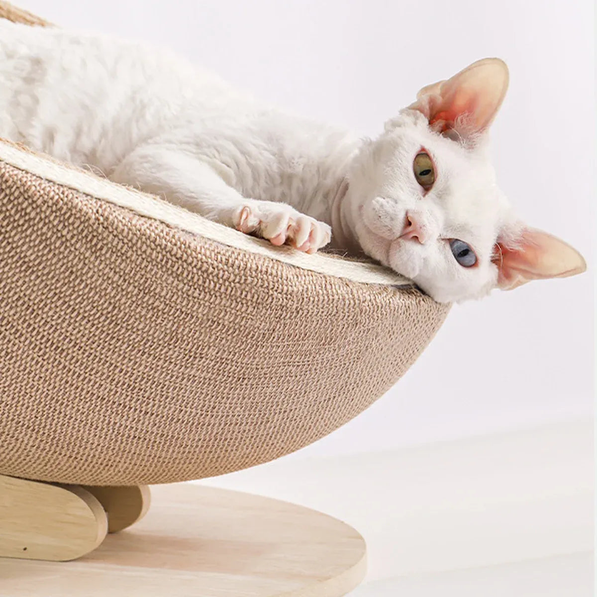 Cat Scratcher Bed Toy Cat Scratcher Bed Kitten Scratching Pad Pet Furniture Cat