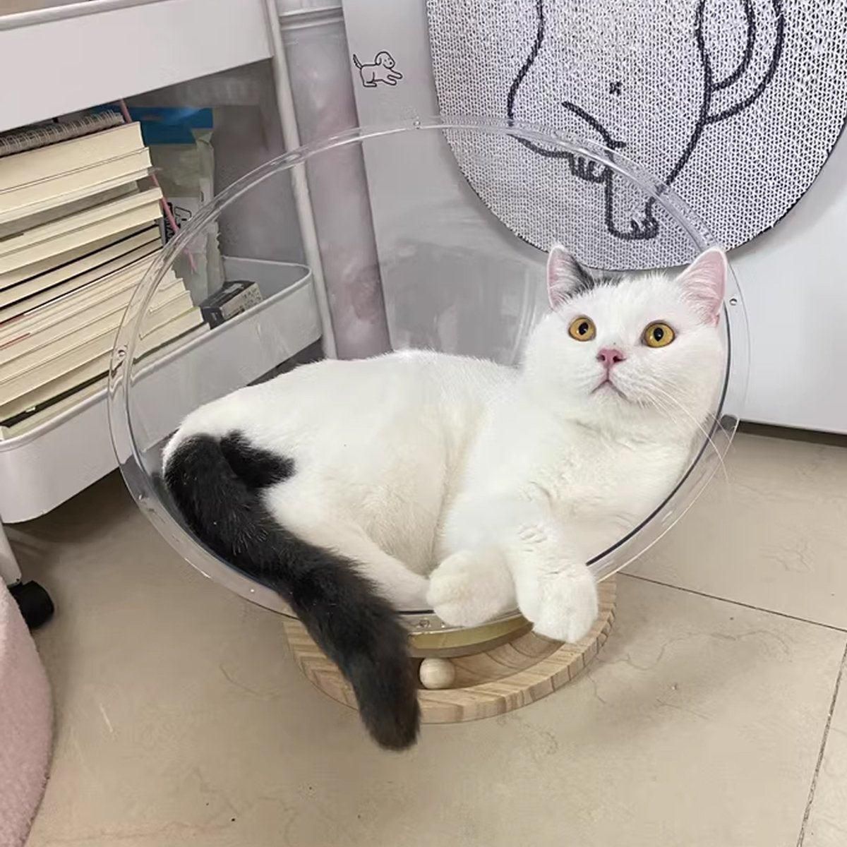 Four Seasons Acrylic Space Capsule Cat Bed Semi-closed Cool Nest Turntable Toy - L