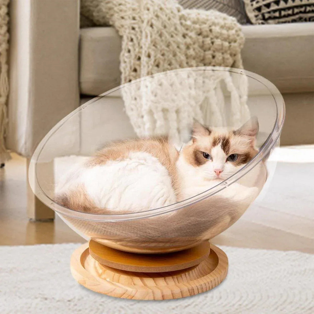 Four Seasons Acrylic Space Capsule Cat Bed Semi-closed Cool Nest Turntable Toy - L