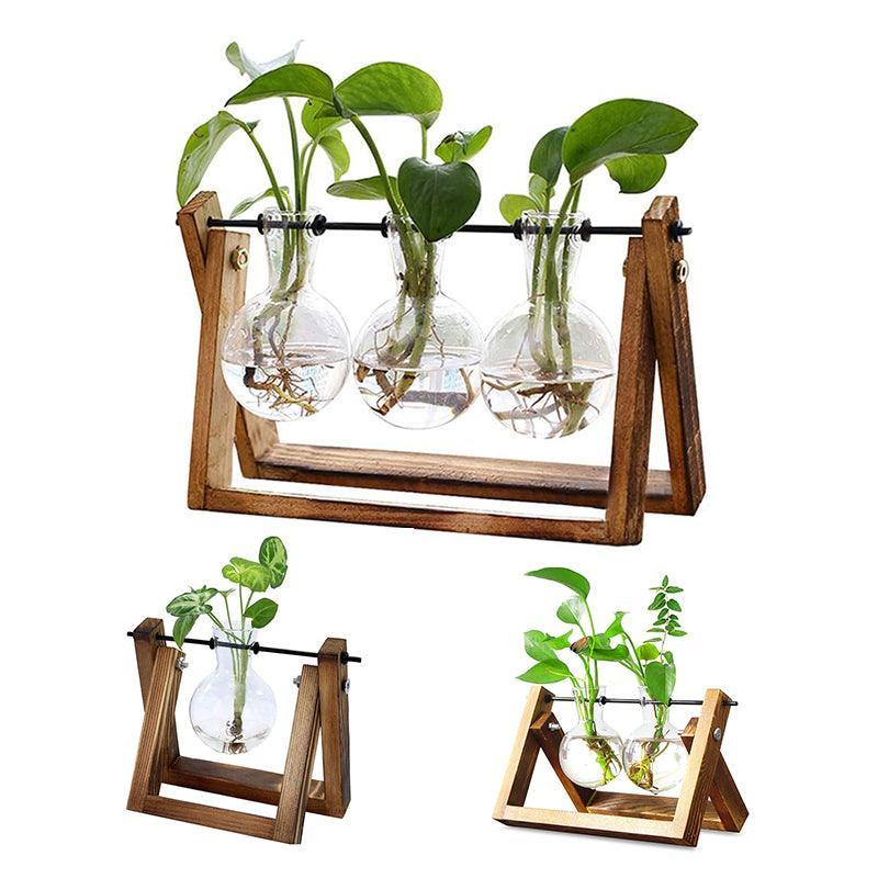 Wood Stand Glass Vase Terrarium Hydroponic Hanging Planter Home Decor - S With 1 Bottle