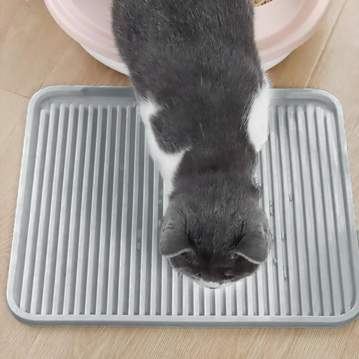 Cat Litter Mat Anti Splash Pet Toilet Pad Reusable Double Layer Litter Box Mat