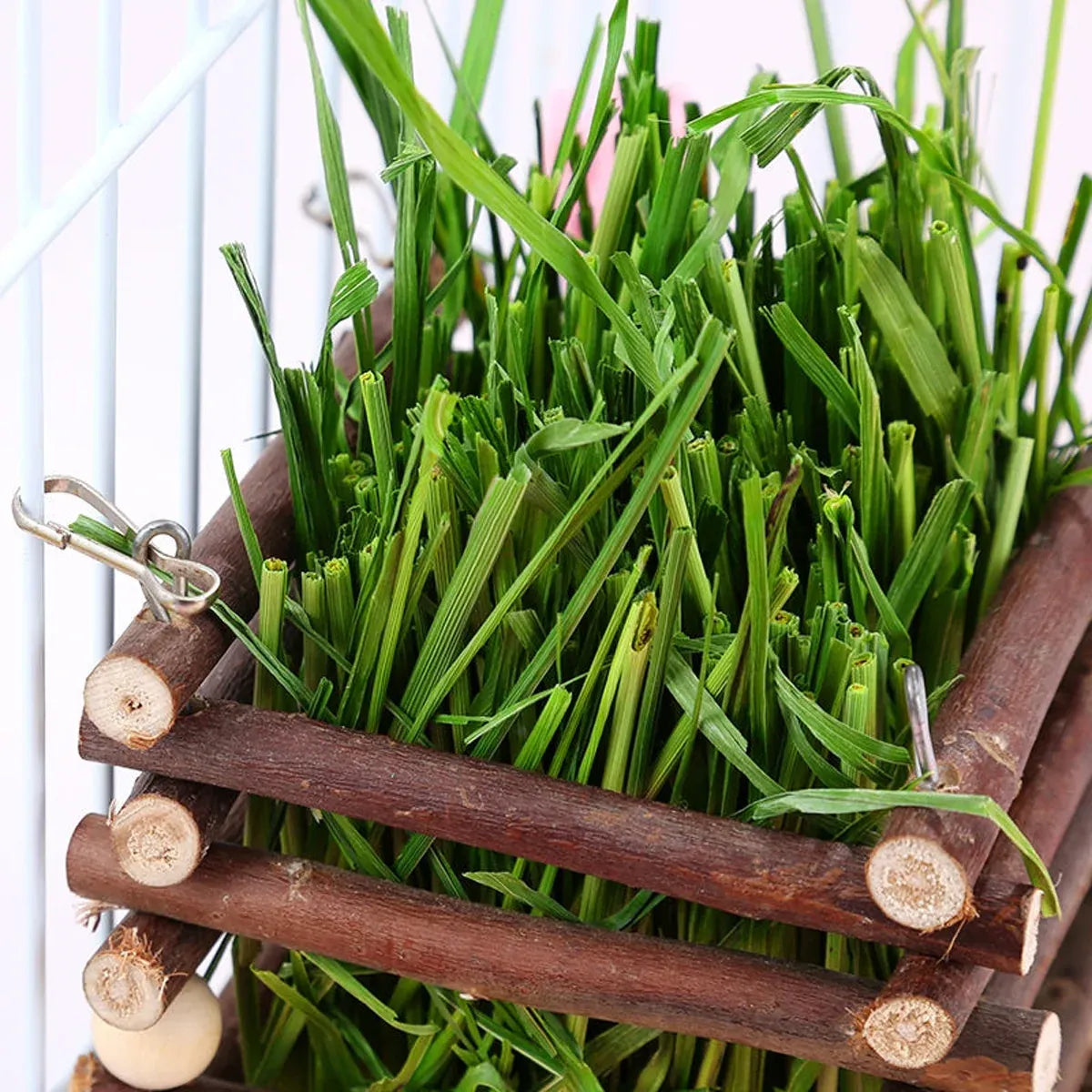 Rabbit Hay Feeder Rack Apple Wood Grass Holder Natural Food Rack Small Pet