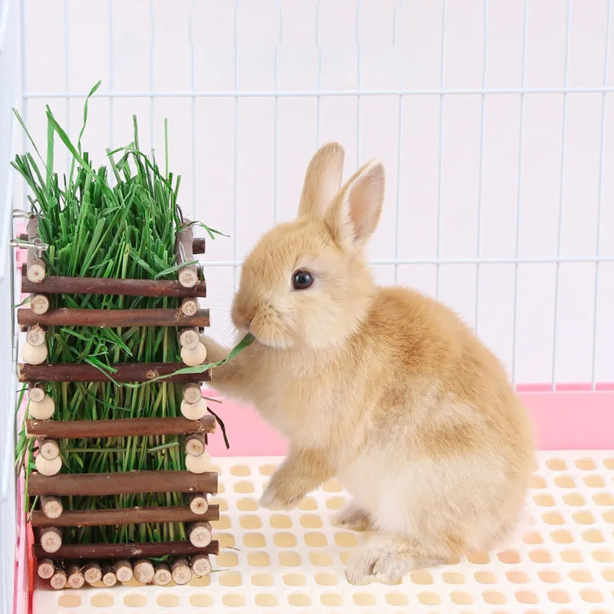 Rabbit Hay Feeder Rack Apple Wood Grass Holder Natural Food Rack Small Pet