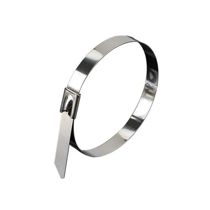 100x Stainless Steel Cable Ties SS304 Marine Grade Zip Strap Locking Wrap 100-800mm - 7.9*500mm