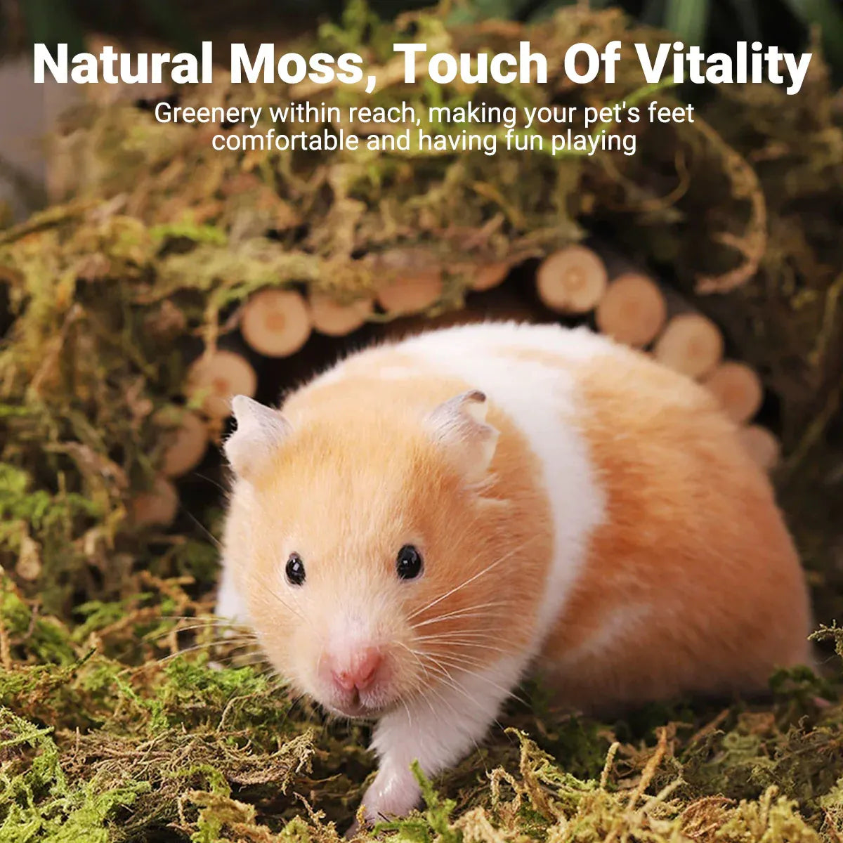 5pcs Natural Flower Grass Bedding Dried Moss Hamster Cage Decor Breeding Box