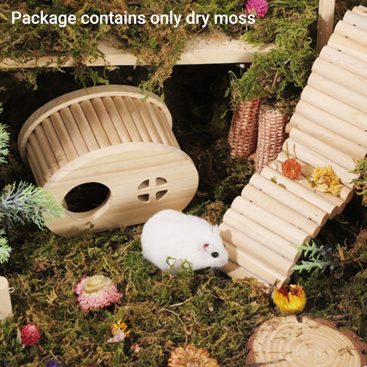 5pcs Natural Flower Grass Bedding Dried Moss Hamster Cage Decor Breeding Box