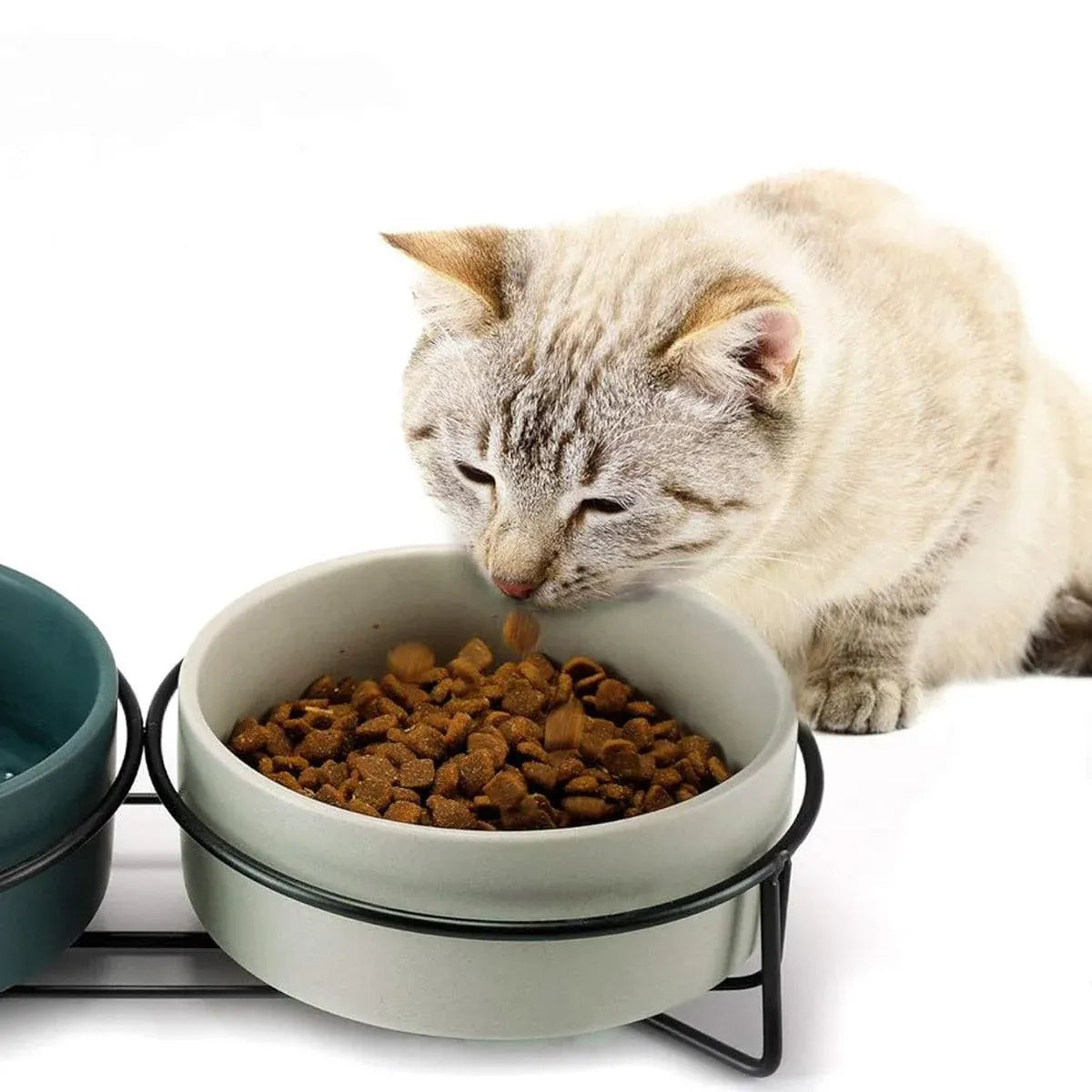 Ceramic Pet Bowl Cat Food Bowl Dog Bowl Drinking Bowl Pet Water Food Dish - Green
