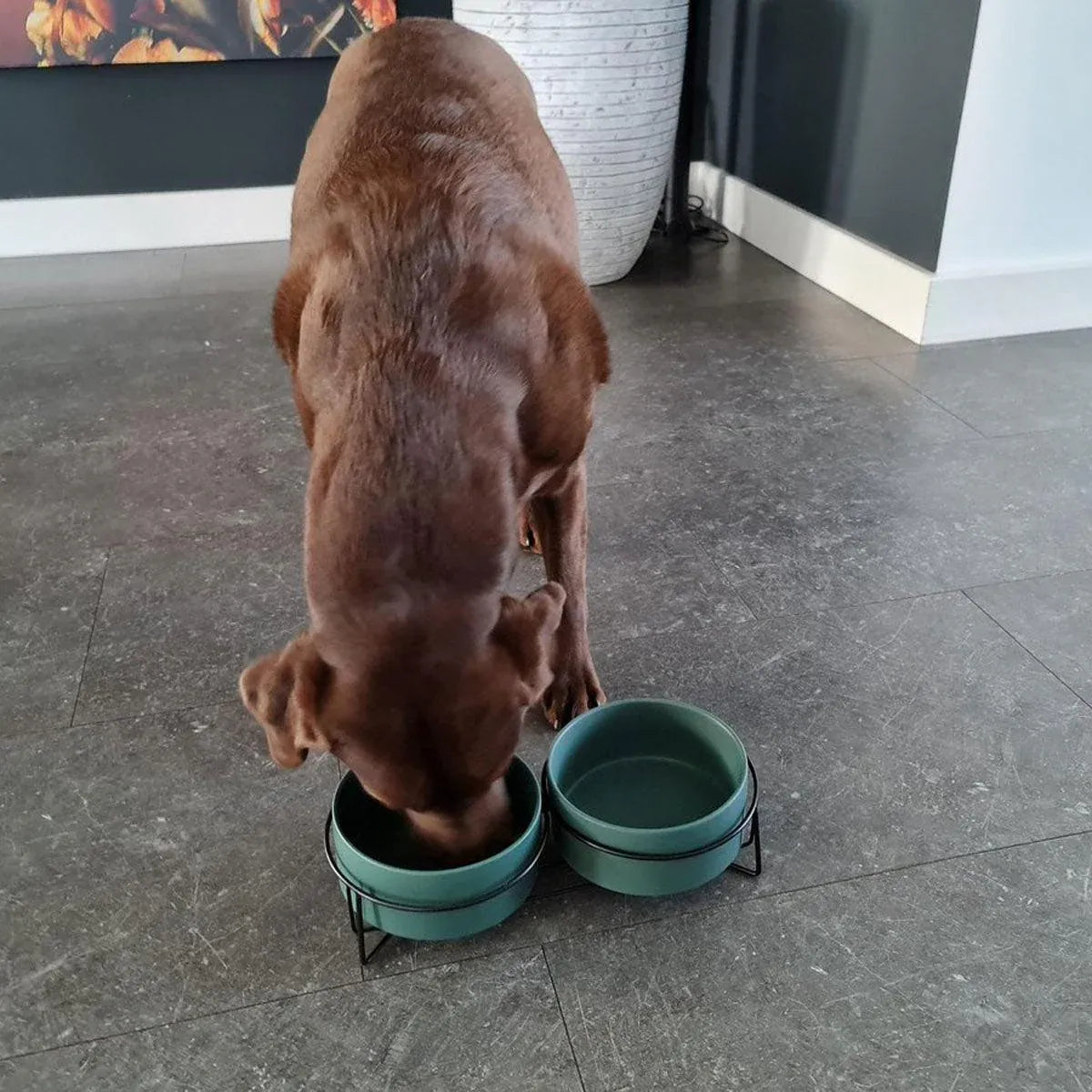 Ceramic Pet Bowl Cat Food Bowl Dog Bowl Drinking Bowl Pet Water Food Dish - Pink