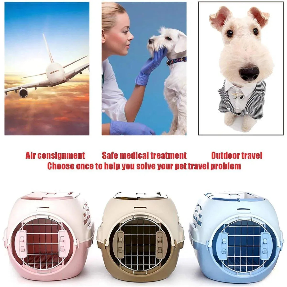 Dog and Cat Carrier Large Space Removable Sunroof Air Carrier for Pet Travel - Blue