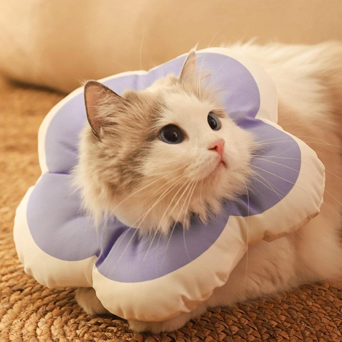 Elizabethan Cat Recovery Collar Anti Licking Pet Cone Protective Neck Ring - Yellow-M