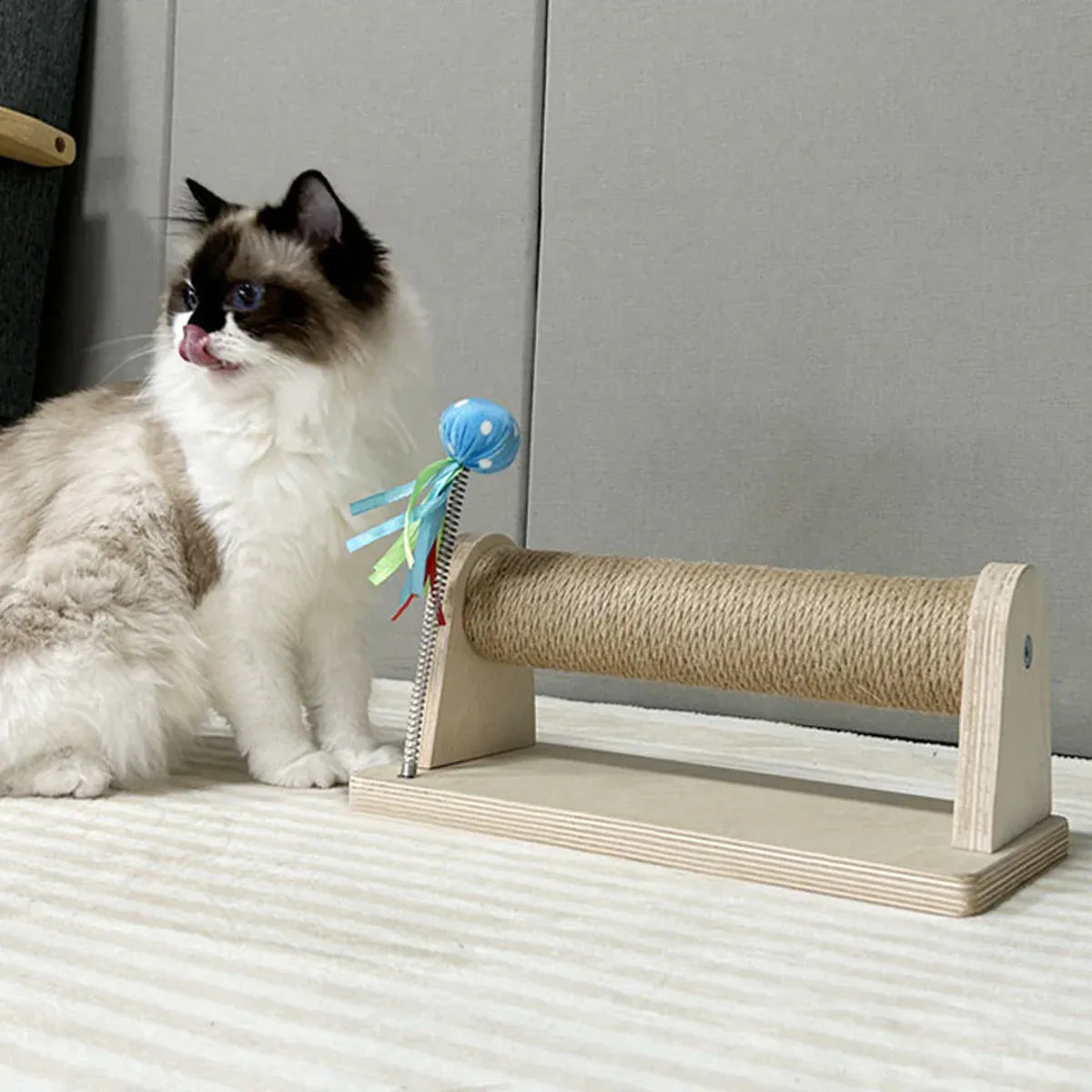 Cat Natural Eco Friendly Non Shedding Scratching Pad Durable Cats Nail Care
