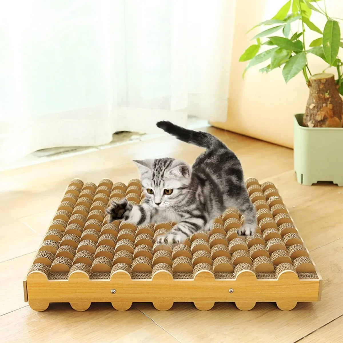 Cat Entertainment Corrugated Scratching Board Cat Toy Anti Scratch Durable - Basic Model