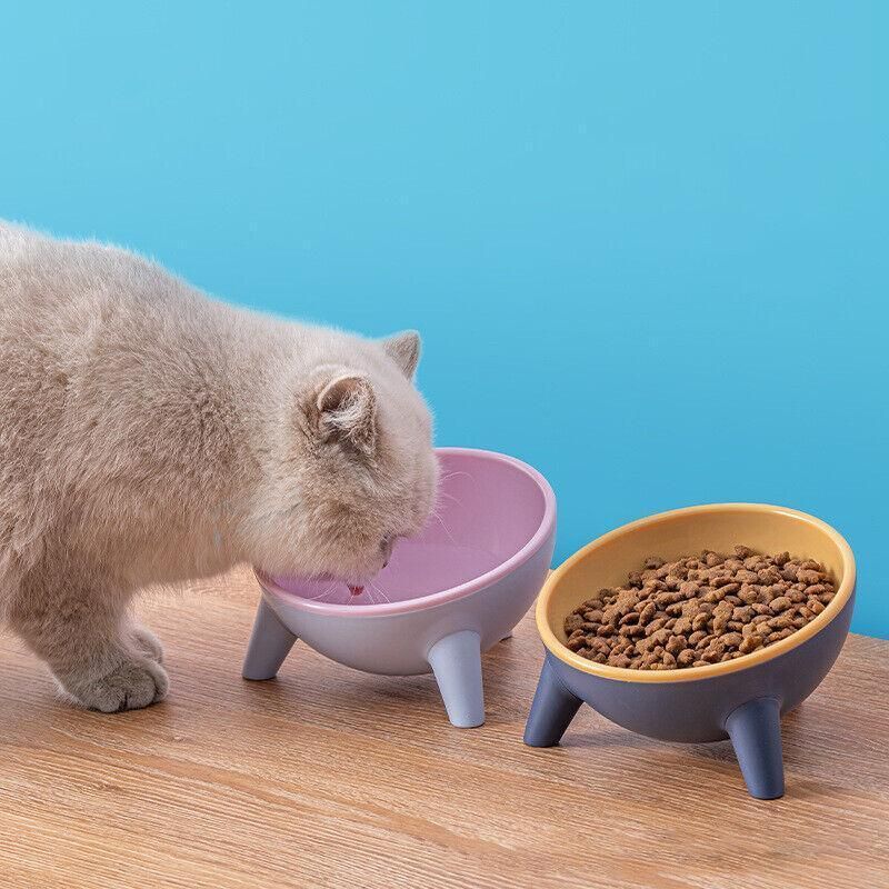 Raised Cat Bowl Pet Feeder Pet Bowl Elevated Dog Bowls 15° Tilted Pet Water Bowl - Rock Yellow