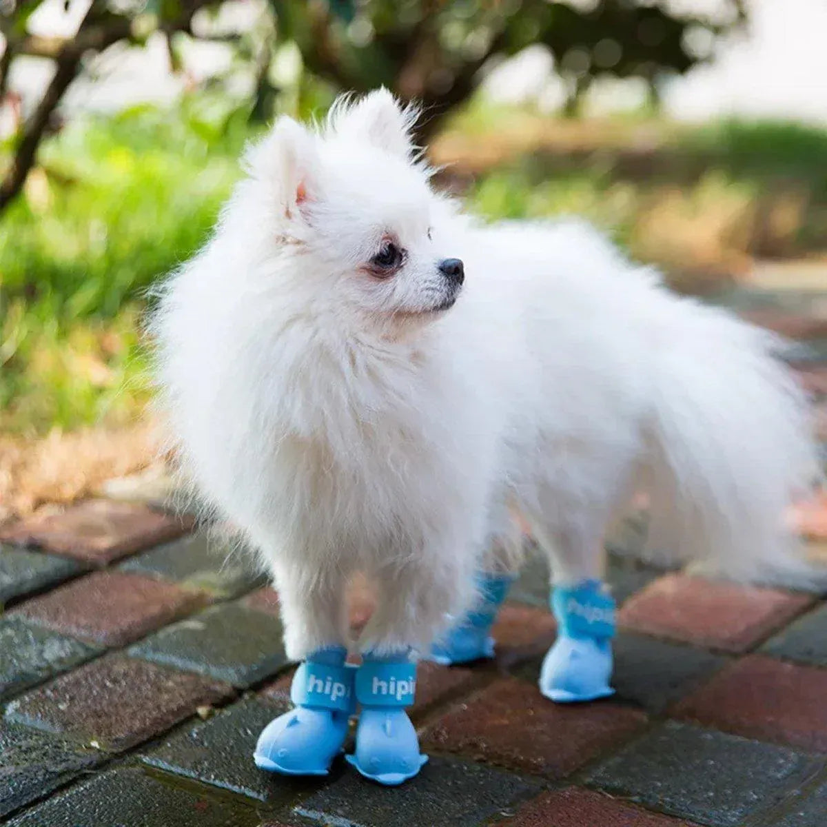 4pcs Cartoon Pet Rain Boots Waterproof Non-Slip Wear-Resistant Shoes for Dogs - Blue - M