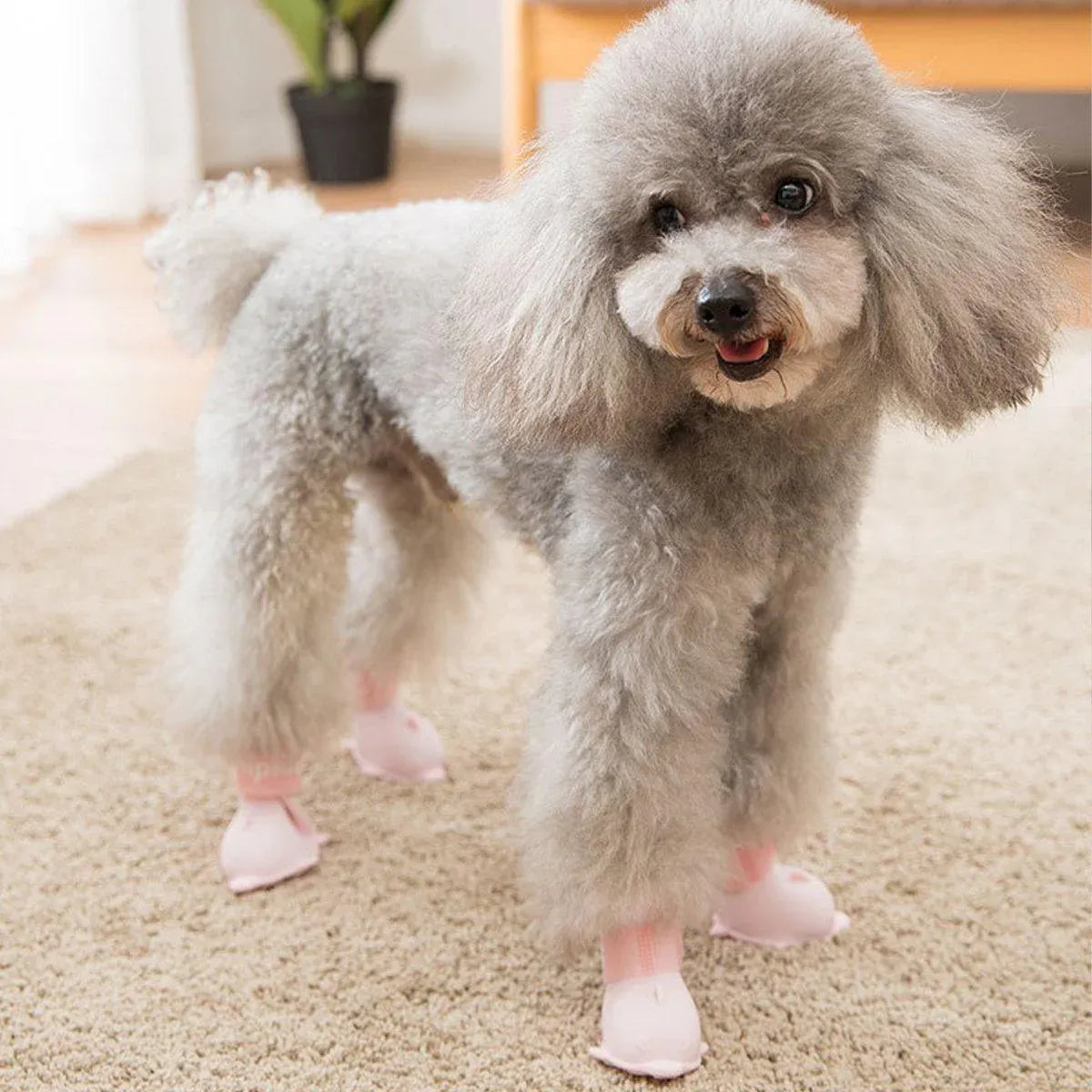 4pcs Cartoon Pet Rain Boots Waterproof Non-Slip Wear-Resistant Shoes for Dogs - Blue - S
