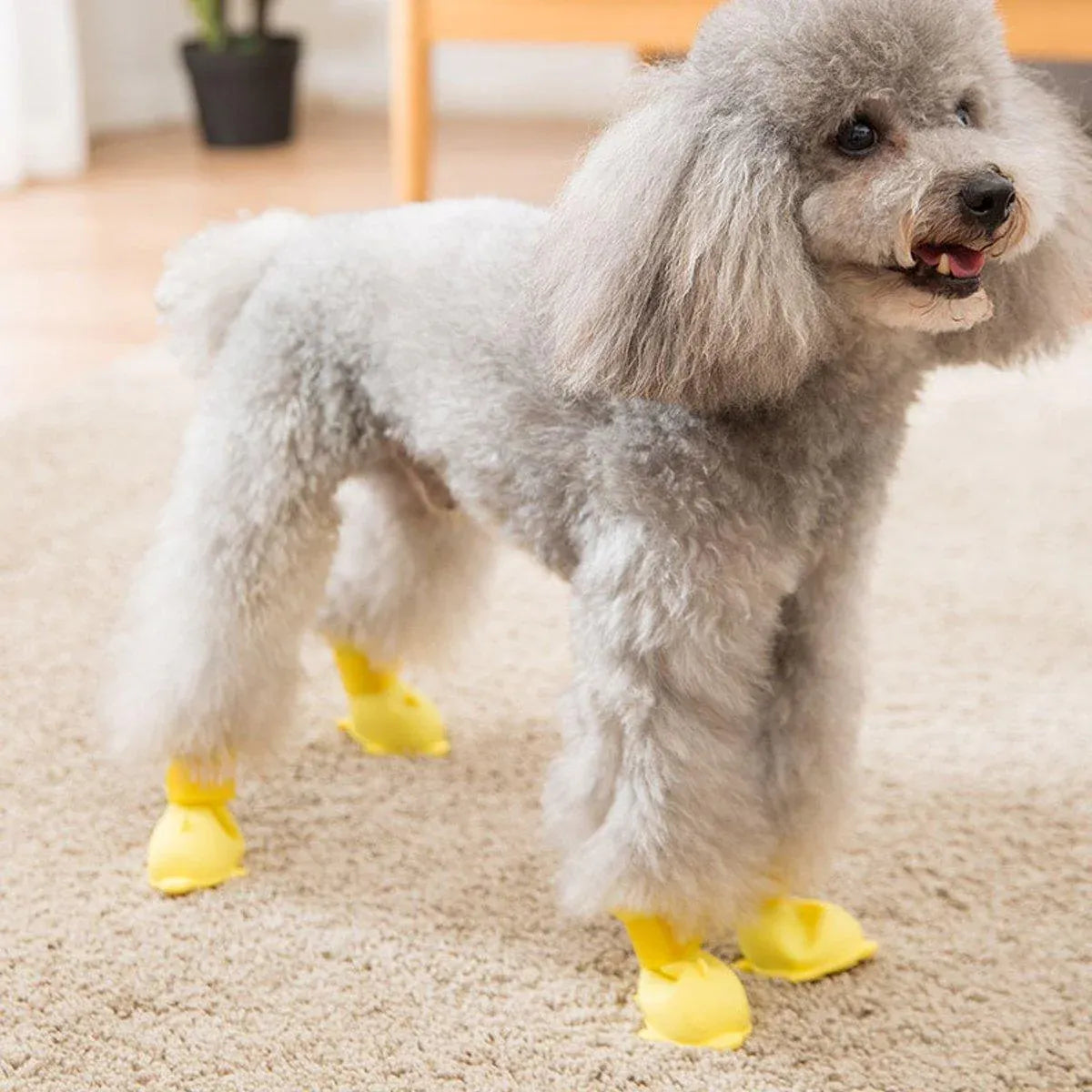 4pcs Cartoon Pet Rain Boots Waterproof Non-Slip Wear-Resistant Shoes for Dogs - Yellow - S
