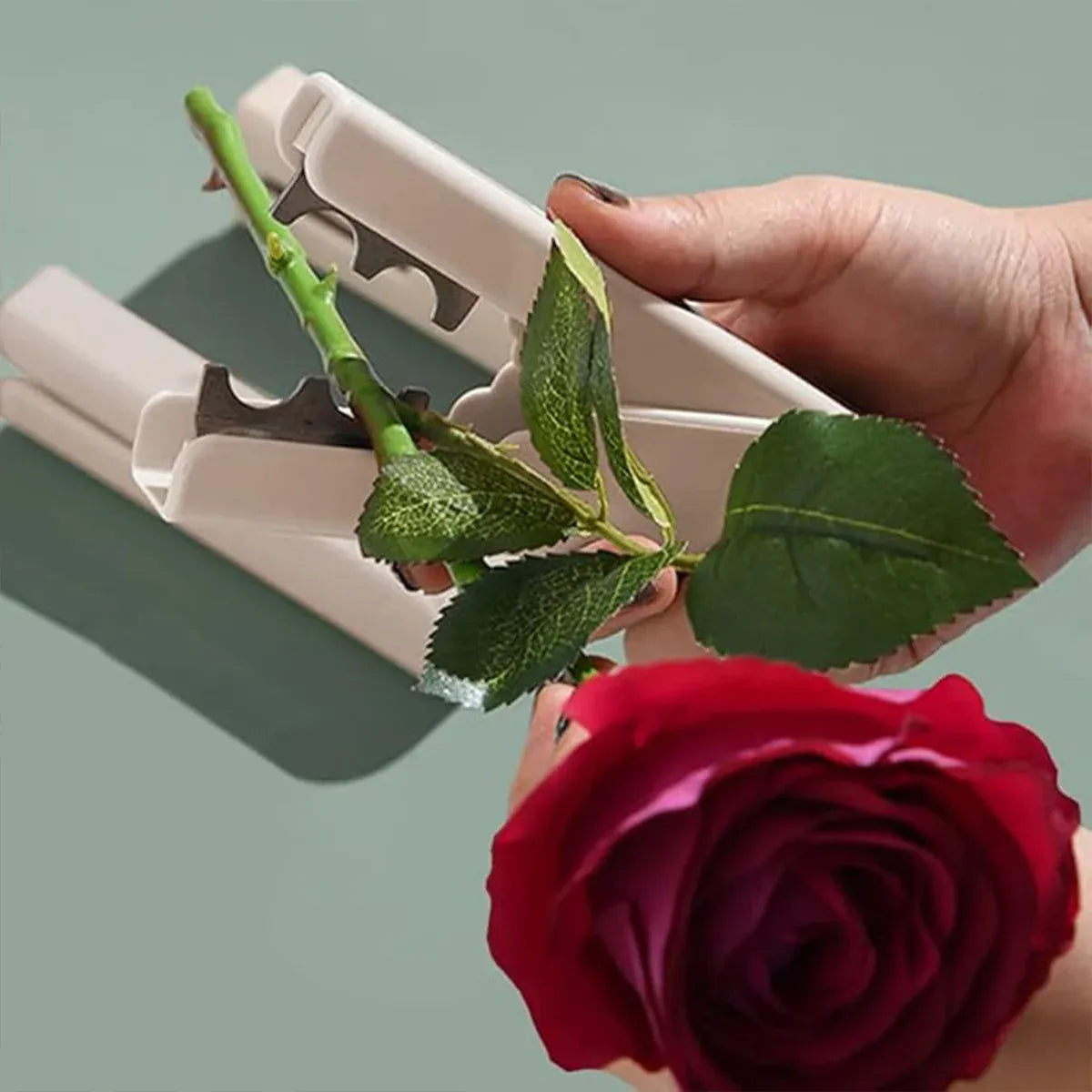 Flower Shop Thorn Tools Rose Thorn Strippers Thorn Removing Pliers Thorn Clamps - Coffee