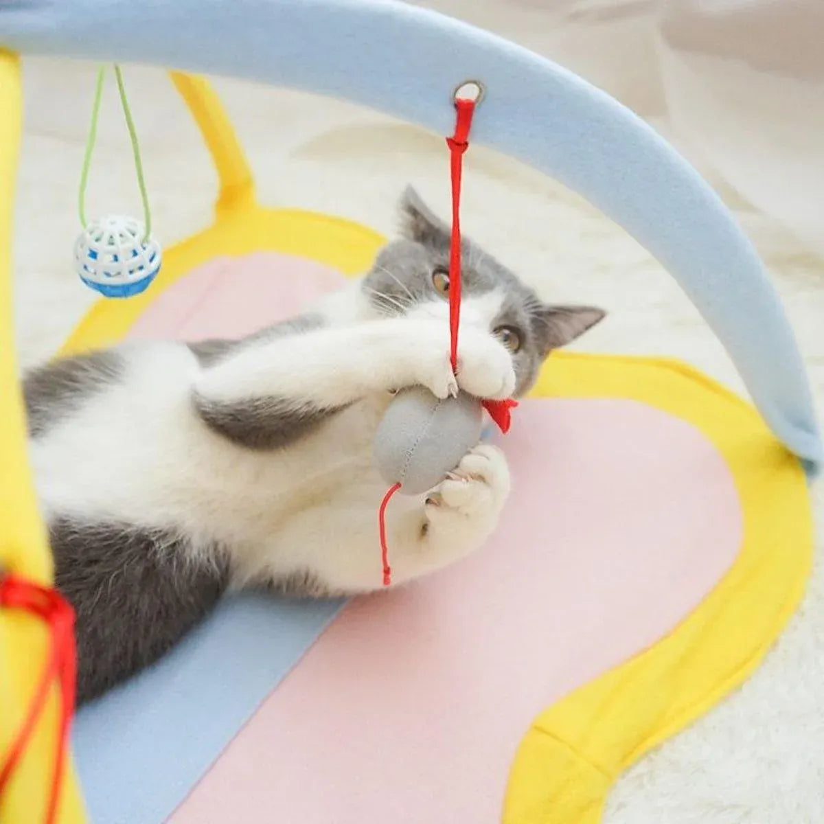 Breathable Pet Hammock Cat Bed with Fun Cartoon Bell Toy Cat Tent Supplies - Blue Polka Dots