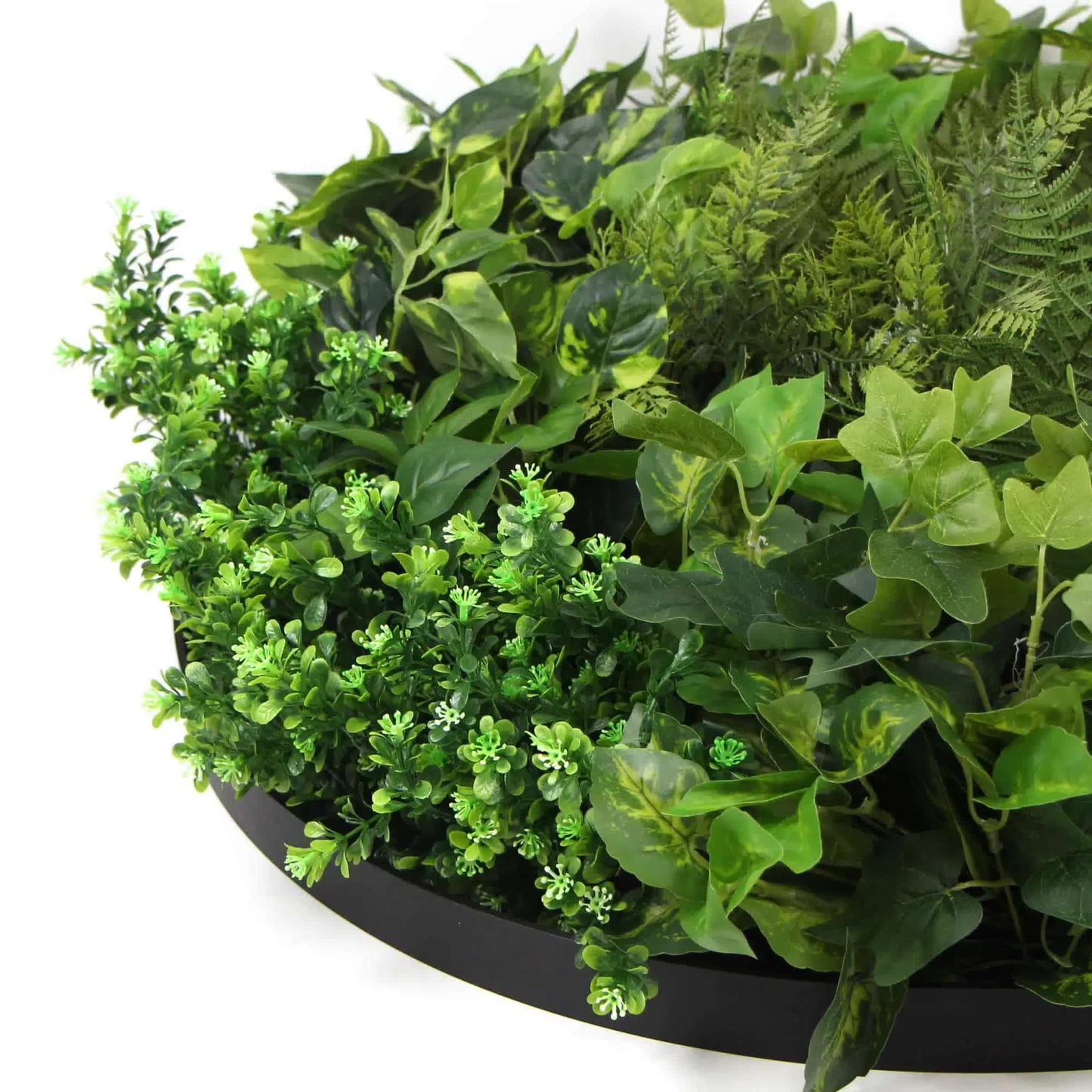 Slimline Artificial Green Wall Disc Art 80cm Mixed Green Fern & Ivy (Modern Black)