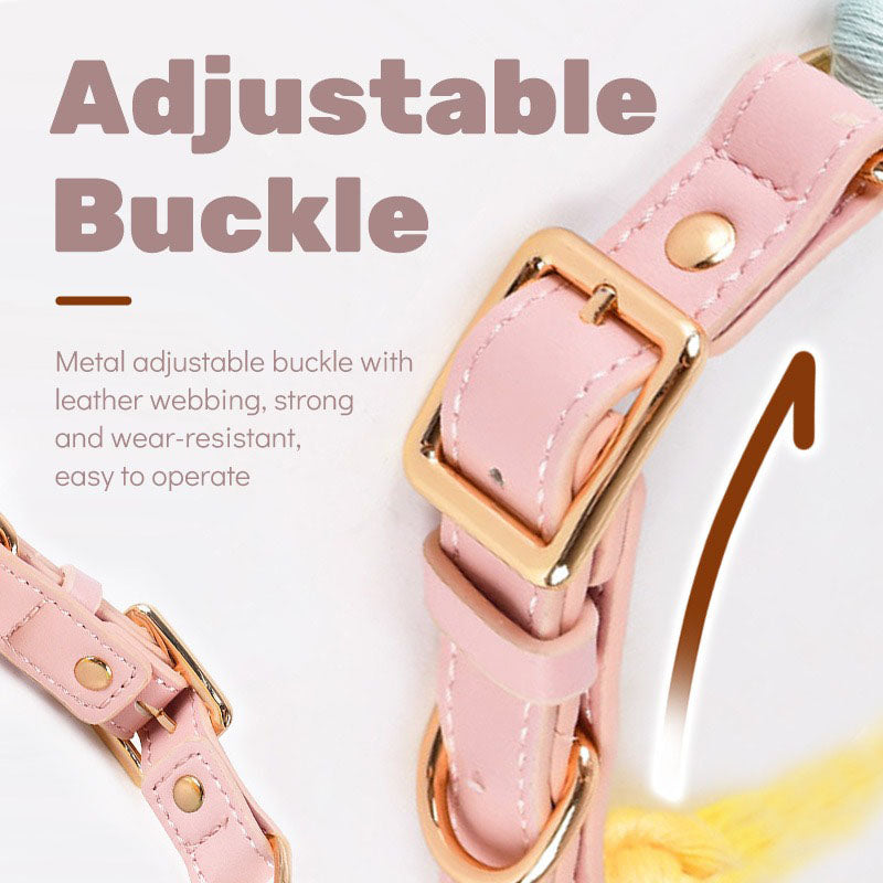 Rose Red Hand-Woven Rainbow Cotton Rope Dog Leash and Collar Set - Adjustable Veg-Tanned Leather Trim with Heavy Duty Metal Hardware - 150cm Training Lead and M Size Collar