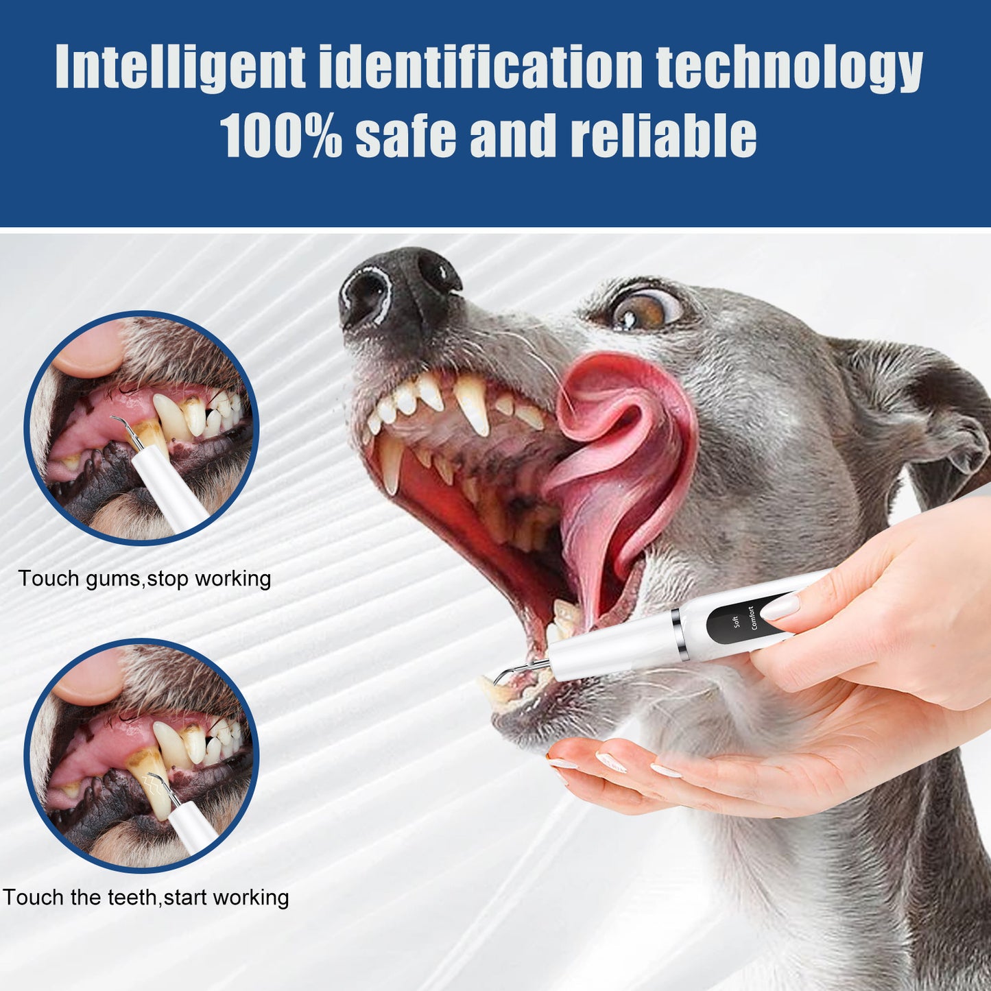 White Professional Pet Dental Cleaning Kit - Ultrasonic Scaler, Tools & 3 Modes