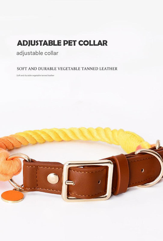 Premium Leather Pet Collar and Leash - Soft, Strong Braided Rope (Sky blue - Size L)