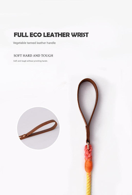 Premium Leather Pet Collar and Leash - Soft, Strong Braided Rope (Dark gray - Size S)