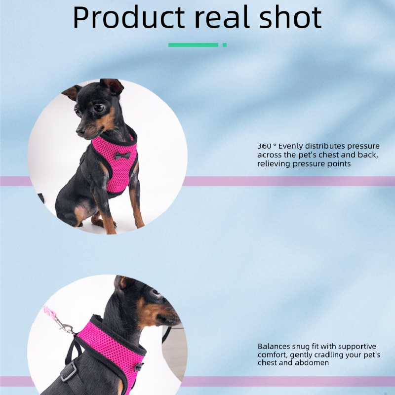 2-Pcs Pink Adjustable Pet Harness with Leash – Breathable Mesh Design for Small Dogs, Cats, Chickens, Ducks & More | Anti-Escape, 360° Support, Lightweight & Comfortable in Australia(Size:M)