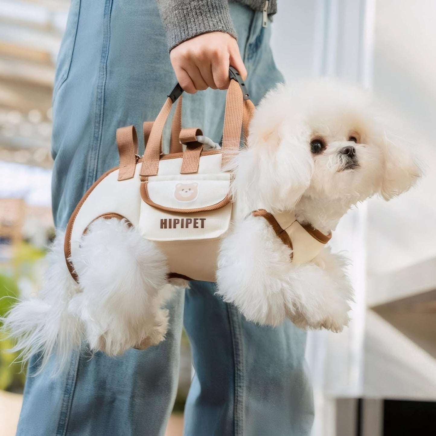 Black 4-in-1 Multi-Functional Pet Carrier Bag with Detachable Strap & 1.5M Traction Rope - Lightweight Breathable Travel Sling for Cats & Dogs - Sizes S(Up to 4kg)