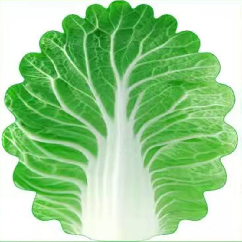 Cute Cabbage-Shaped Fleece Blanket – Fun and Cozy Throw for Naps, Office Use, Air Conditioning, or Baby Swaddling (Green & White)(85cm*85cm)