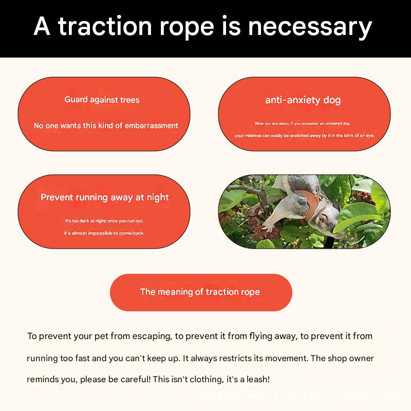 2-Pack Pink Small Mammal Harness Set – 6 Pcs (S/M/L ×2) + 2×1.5m Leashes for Secure Outdoor Handling