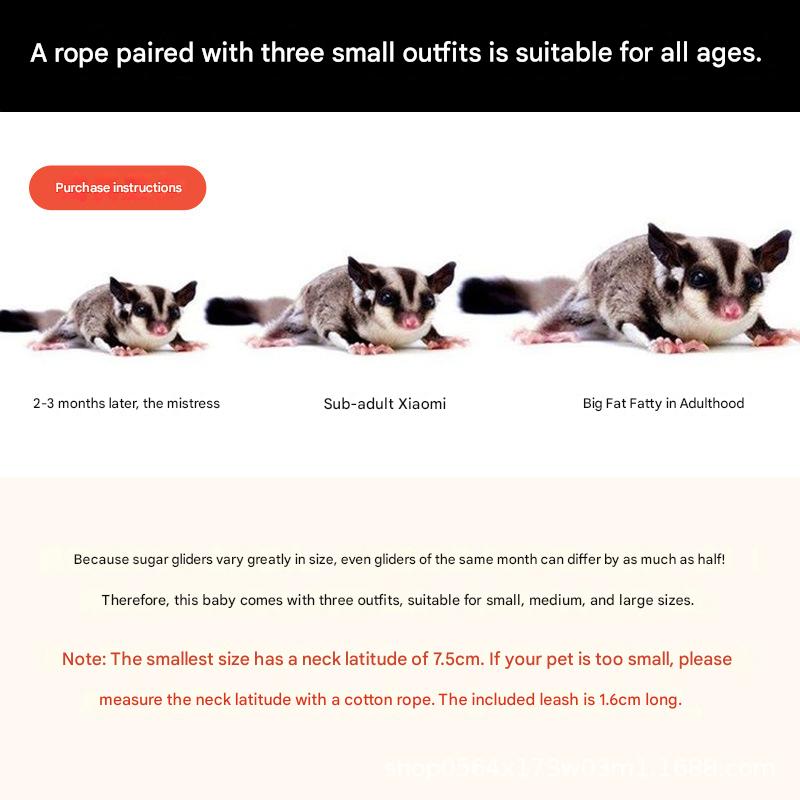 2-Pack Apple green Small Mammal Harness Set – 6 Pcs (S/M/L ×2) + 2×1.5m Leashes for Secure Outdoor Handling