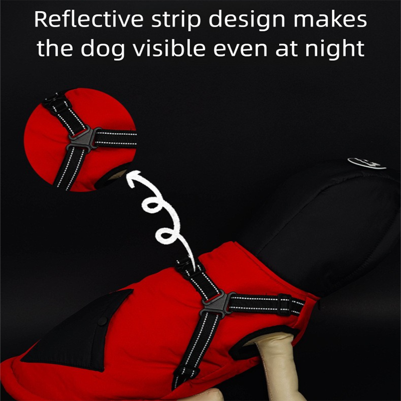 Green Thickened Winter Dog Coat with Reflective Strips – Waterproof, Windproof Pet Jacket for Small to Medium Dogs, Adjustable Fit with Detachable Leash Hook and Decorative Velcro Patch(Size: XL)