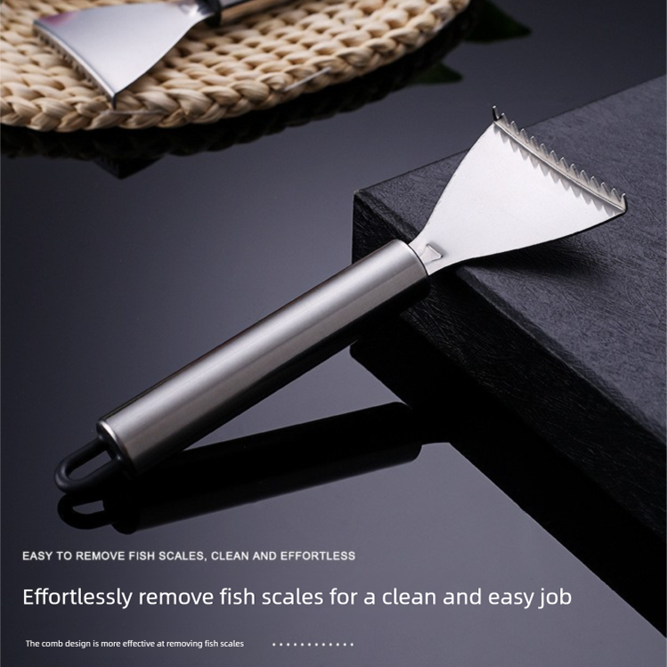 Set of 5 Stainless Steel Fish Scale Removers – Food-Grade Heavy-Duty Fish Scaler Tools with Comfort Grip & Hanging Loop, for Fine & Coarse Scales, Kitchen Essential