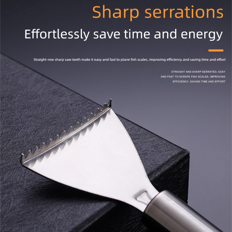 Set of 5 Stainless Steel Fish Scale Removers – Food-Grade Heavy-Duty Fish Scaler Tools with Comfort Grip & Hanging Loop, for Fine & Coarse Scales, Kitchen Essential