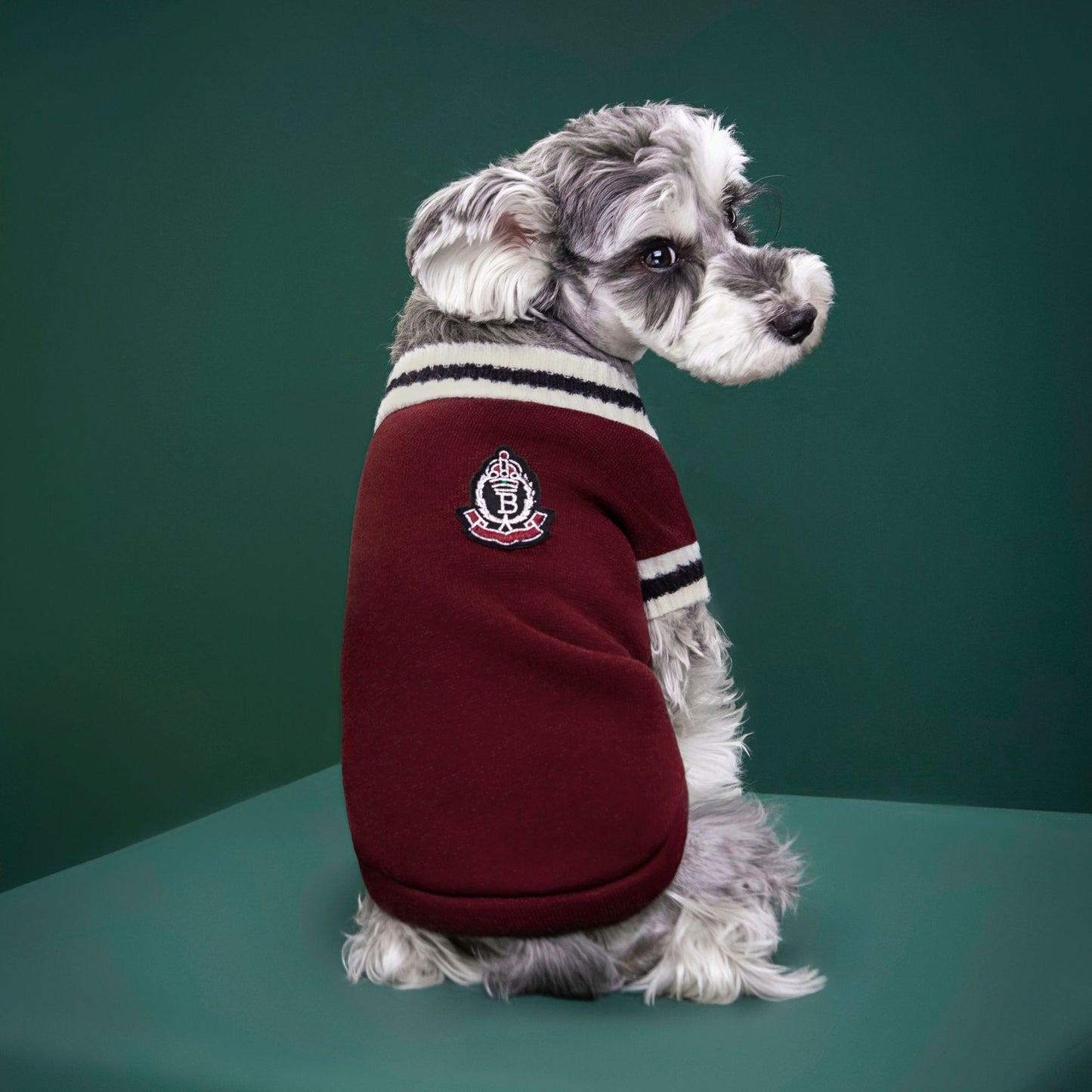 4-Pack S Size Preppy Style V-Neck Knitted Cotton Pet Sweater - Hair-Resistant & Breathable, Classic Fleece-Lined Pullover for Cats and Dogs(Green + Red + Khaki + Grey)
