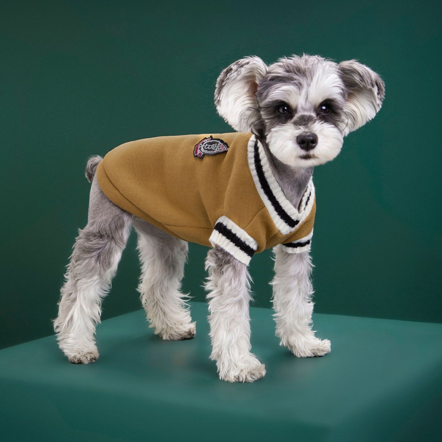 4-Pack S Size Preppy Style V-Neck Knitted Cotton Pet Sweater - Hair-Resistant & Breathable, Classic Fleece-Lined Pullover for Cats and Dogs(Green + Red + Khaki + Grey)