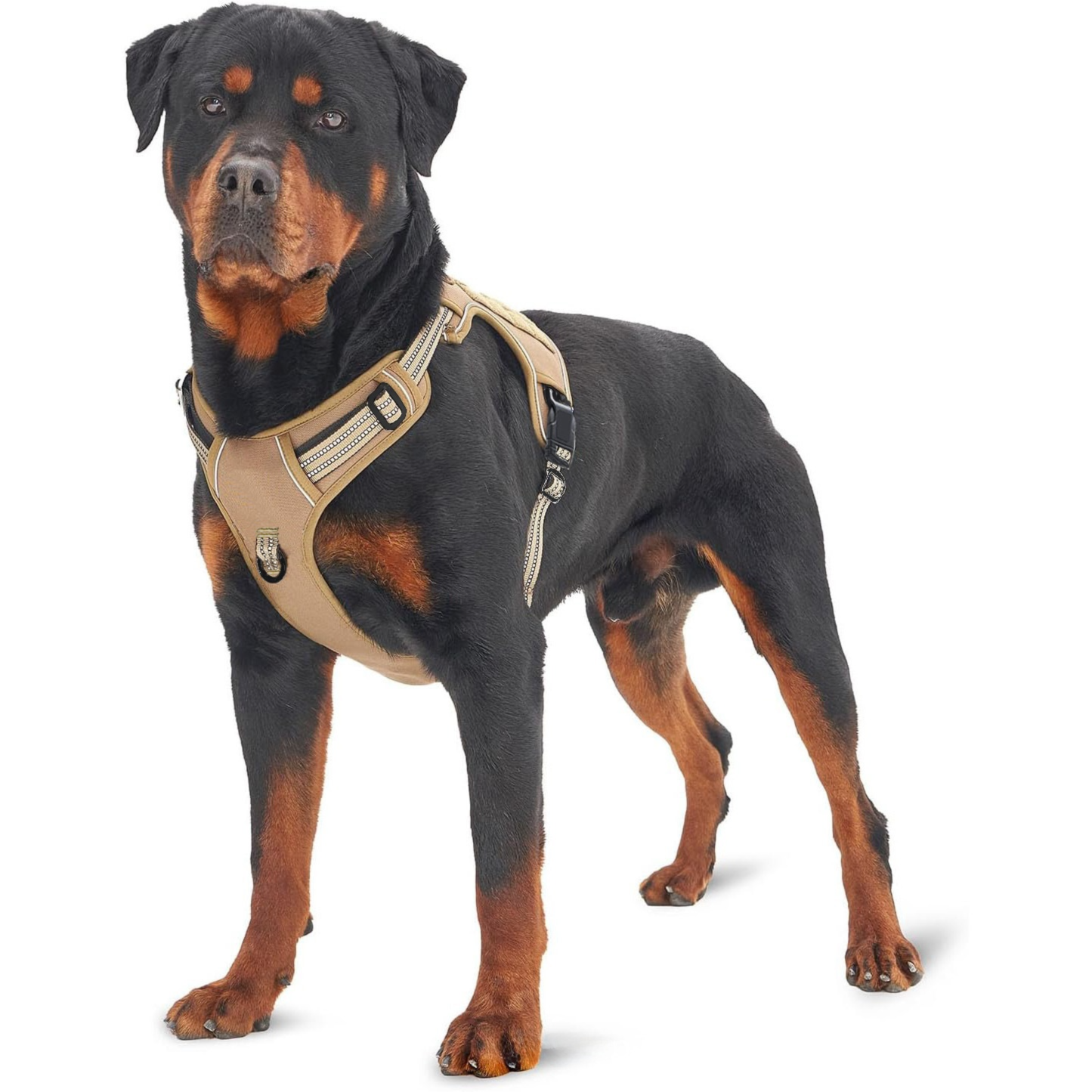 Black Professional Adjustable Tactical Dog Mesh Harness - Reflective No-Pull Pet Vest with Control Handle (L Size for Weight 45-80 lbs)