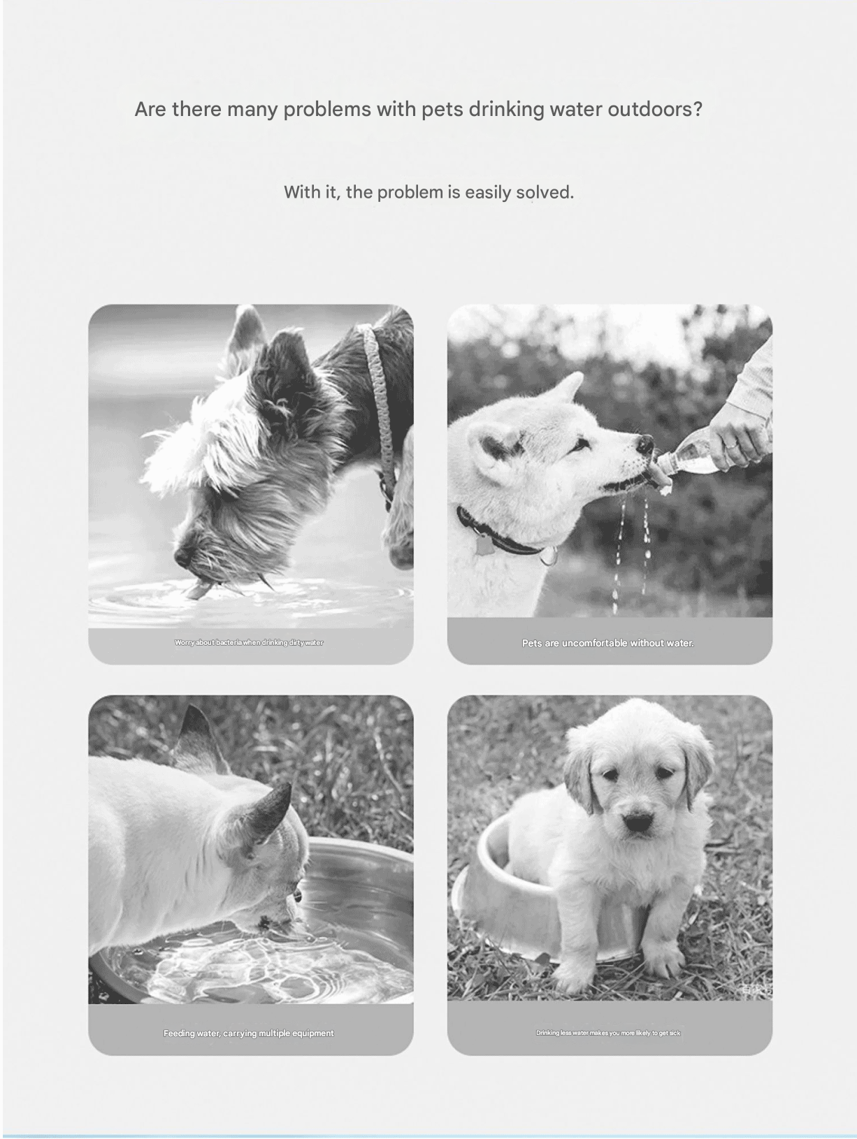 White 350ml  Portable Dog Water Bottle  - Leak-Proof Pet Travel Water Dispenser, Cloud-Shaped Drinking Bowl, Twist-to-Dispense Design, BPA-Free HIPS/PET Material for Walking Hiking Travel