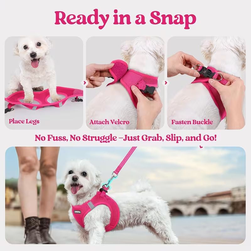 Black Breathable Dog Harness and Leash Set - Adjustable Reflective Pet Vest with Swivel Clip(Size: XL)