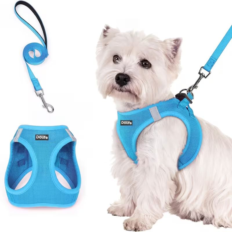Blue Breathable Dog Harness and Leash Set - Adjustable Reflective Pet Vest with Swivel Clip(Size: S)