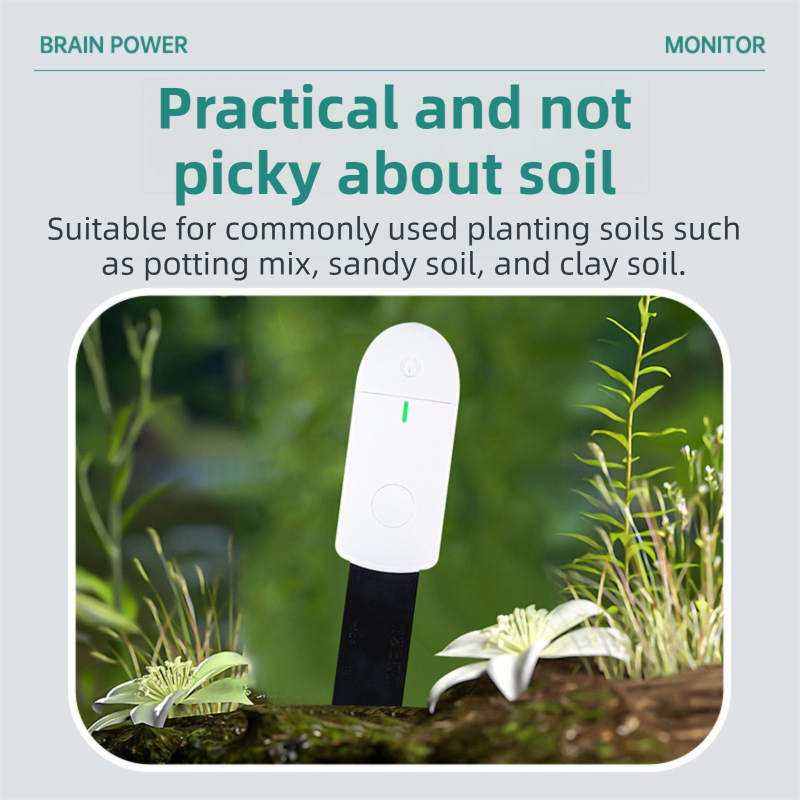 2 Pack Smart Soil Moisture Meter with Dual Operating Modes - Digital Plant Water Detector and 3-Color Light Realtime Indicator for Potted Plants and Garden Vegetables