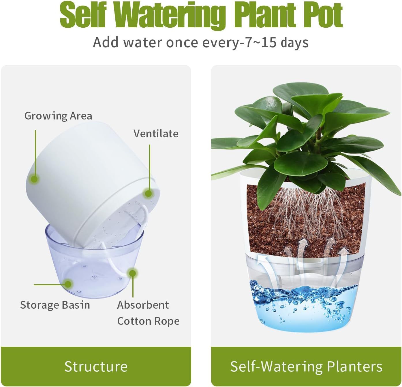 3 Pack White Indoor Self Watering Planter Pot - 6 Inch Double Layer Rempvable Plastic Flower Pot with Extra Large Water Storage and Cotton Rope for All House Plants, Flowers, Herbs