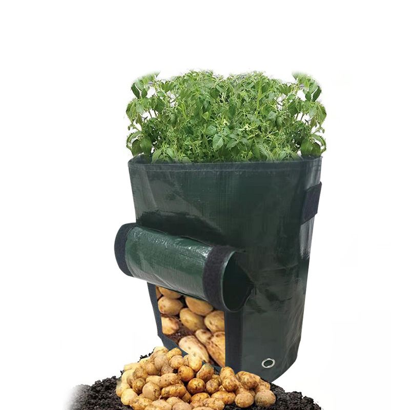 4 PCS Potato Growing Bags 23 x 28cm – Durable PE Planting Containers with Side Harvest Window for Vegetables, Tomatoes and Home Garden Use